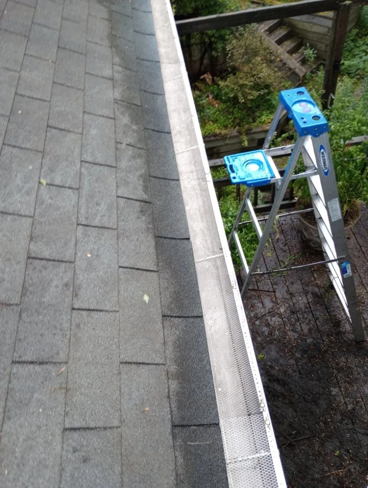 Expert lawn care service experts serving Pulaski, WI - All Things Considered WI