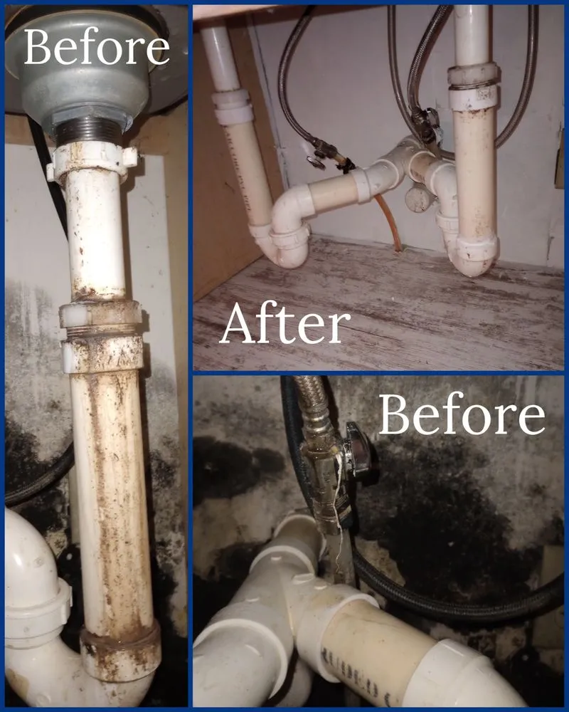 Expert landscaping services experts serving Pulaski, WI - All Things Considered WI