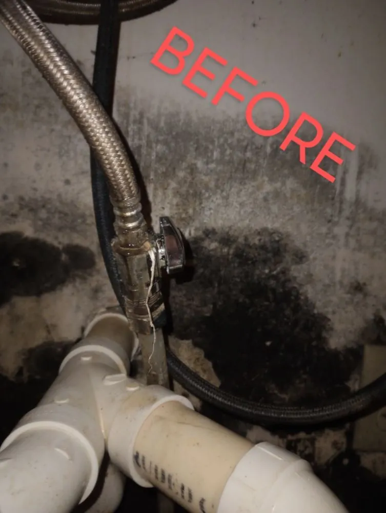 Expert yard maintenance in Pulaski, WI by All Things Considered WI