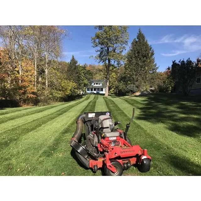 Local residential landscaping in Mountain Grove, MO by All Things Good Lawn Care