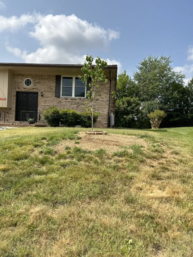 Custom landscape design experts serving Cleveland, TN - All Things Green