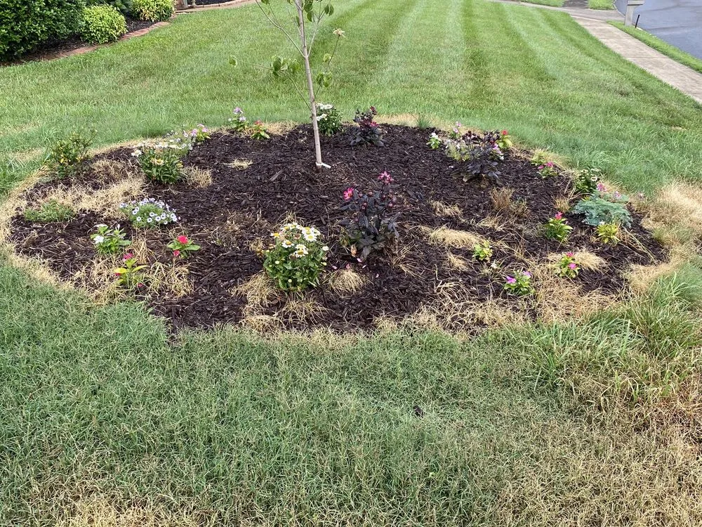 Reliable landscape design in Cleveland, TN by All Things Green