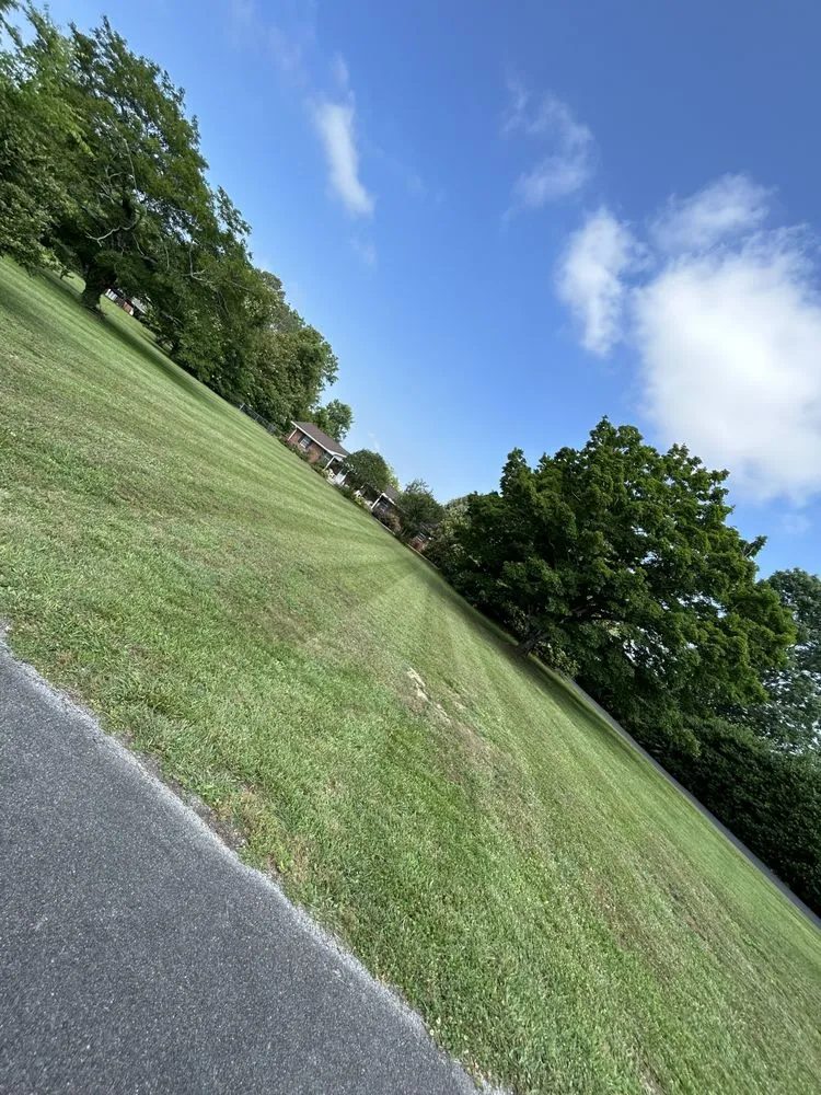 Professional landscape design in Cleveland, TN by All Things Green