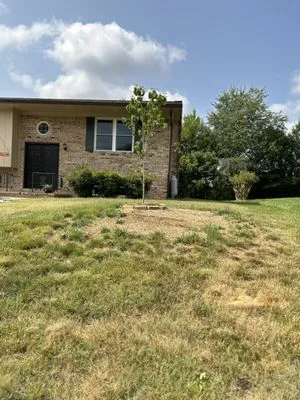 All Things Green Logo