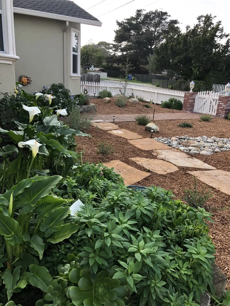 Professional landscape installation experts serving Marina, CA - All Things Green
