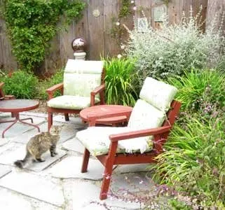 Reliable landscape installation in Marina, CA - All Things Green