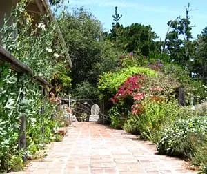 Custom lawn care service experts serving Marina, CA - All Things Green