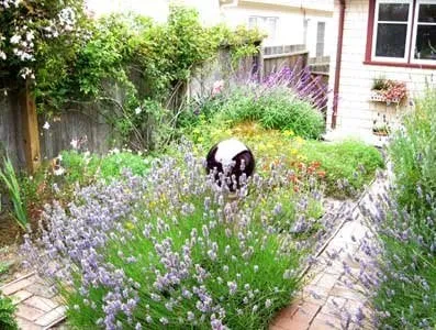 Trusted landscaping services near you in Marina, CA by All Things Green