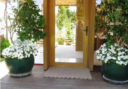 Professional lawn care service for year-round maintenance in Marina, CA by All Things Green