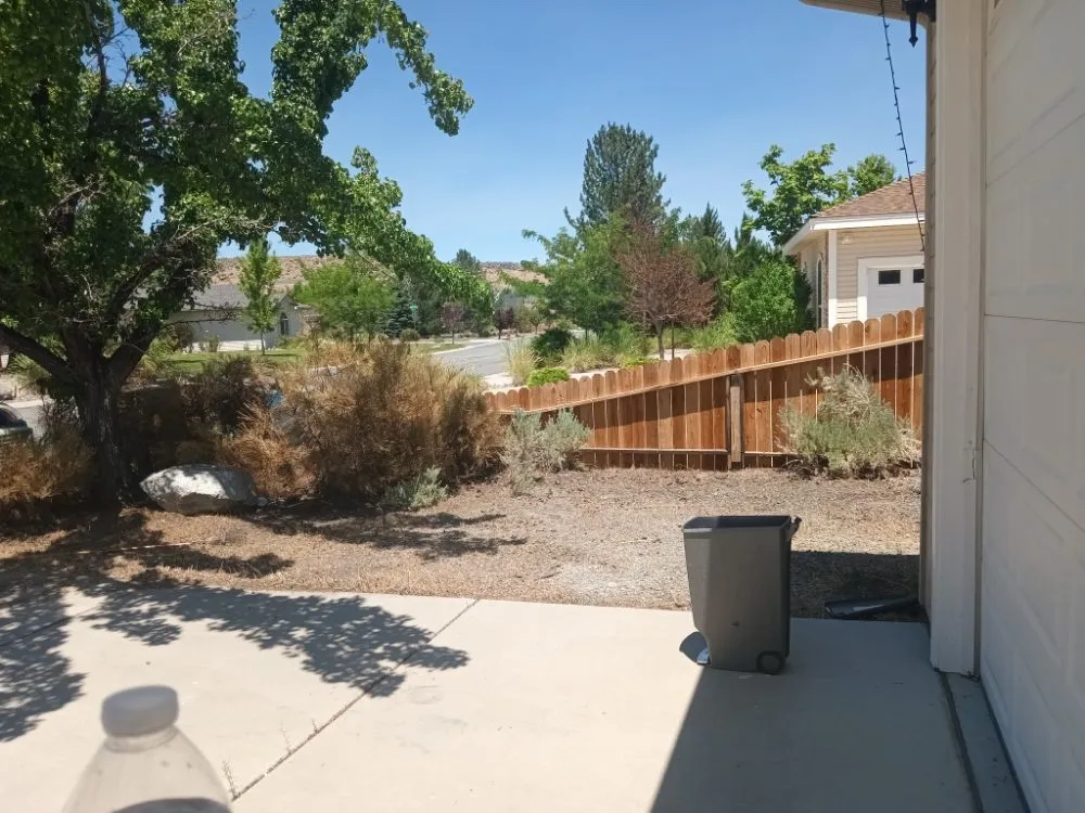 Top-rated yard maintenance near you in Fernley, NV by All Things Inside and Out