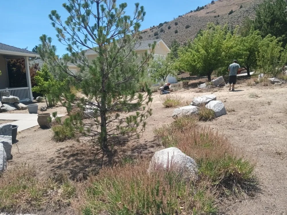 Trusted landscape design in Fernley, NV - All Things Inside and Out