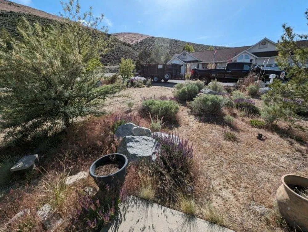 Trusted yard cleanup service for residential properties across Fernley, NV - All Things Inside and Out
