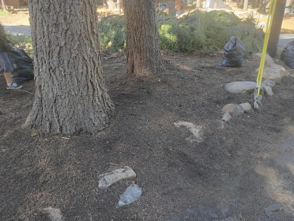 Affordable yard maintenance experts serving Fernley, NV - All Things Inside and Out