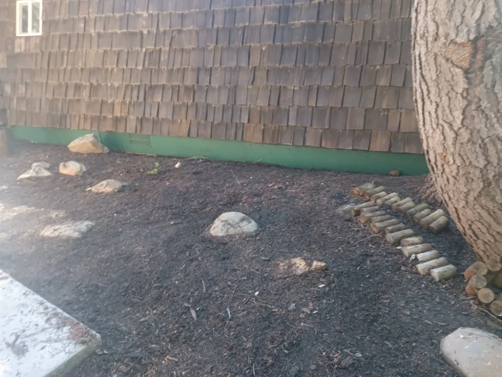 Expert yard cleanup service for year-round maintenance in Fernley, NV by All Things Inside and Out