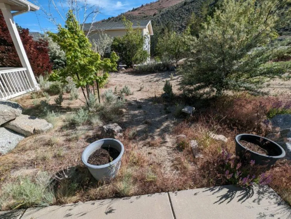 Affordable lawn mowing service near you in Fernley, NV by All Things Inside and Out