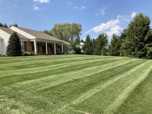 All Things Landscaping