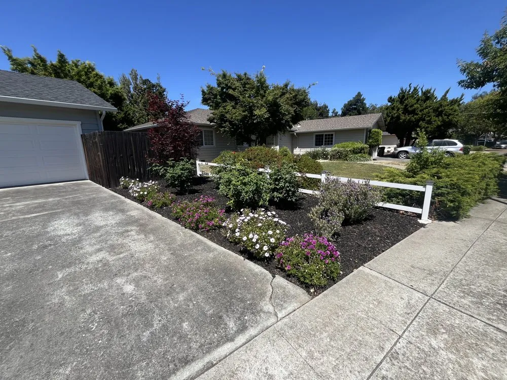 Reliable yard cleanup service for homes in San Jose, CA by All Things Maintenance And Construction