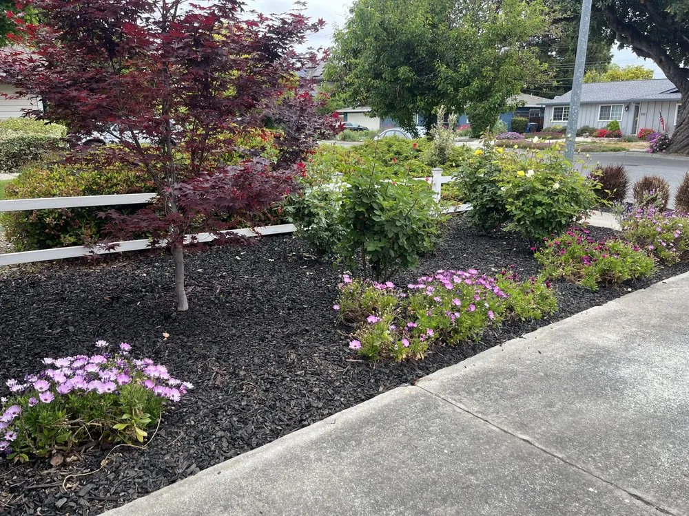 Custom landscaping services experts serving San Jose, CA - All Things Maintenance And Construction
