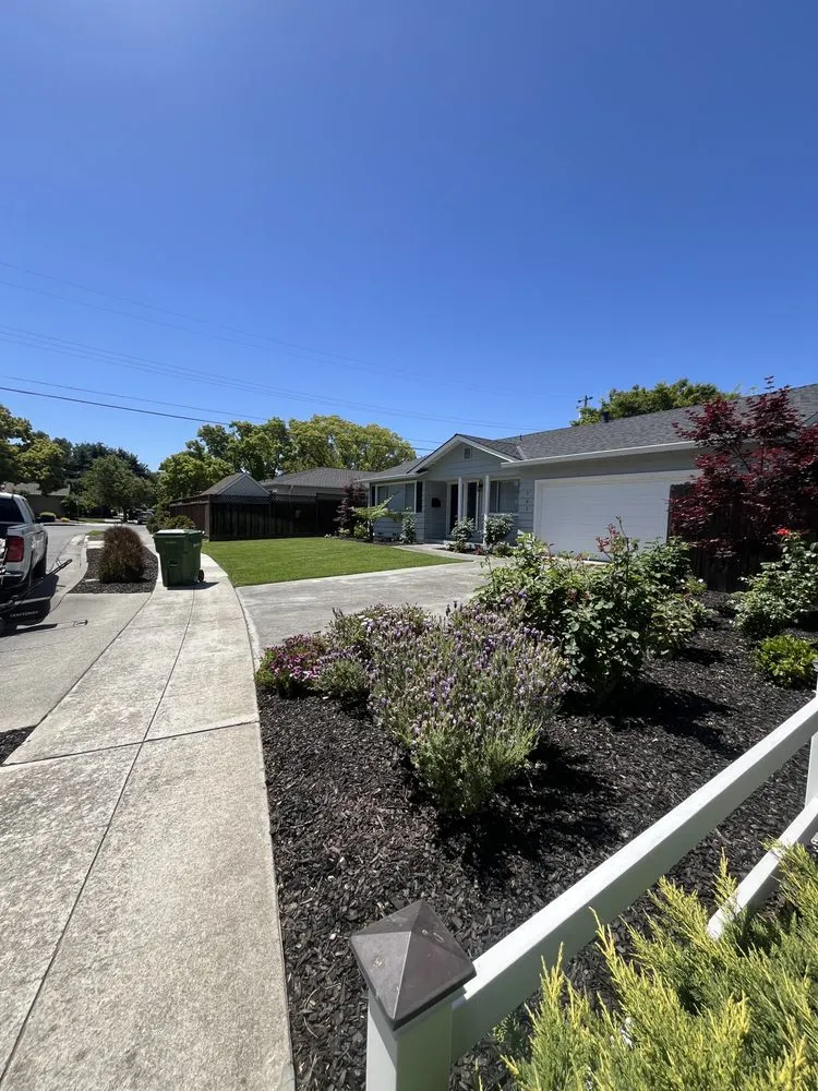 Expert lawn care service experts serving San Jose, CA - All Things Maintenance And Construction