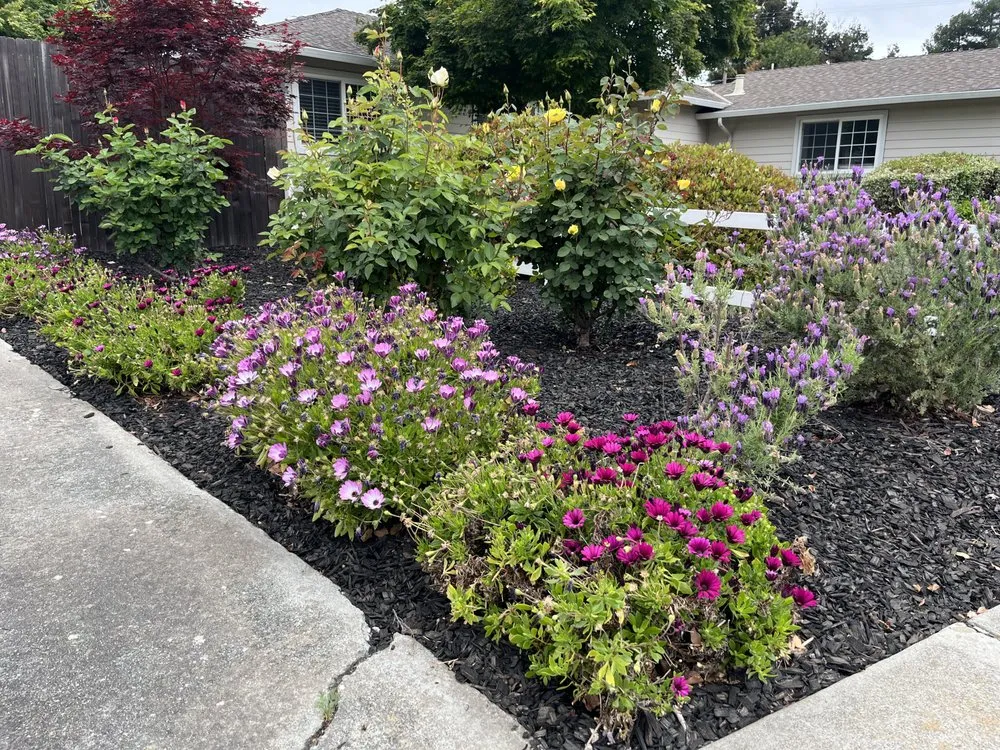 Affordable landscaping services for outdoor upgrades across San Jose, CA - All Things Maintenance And Construction