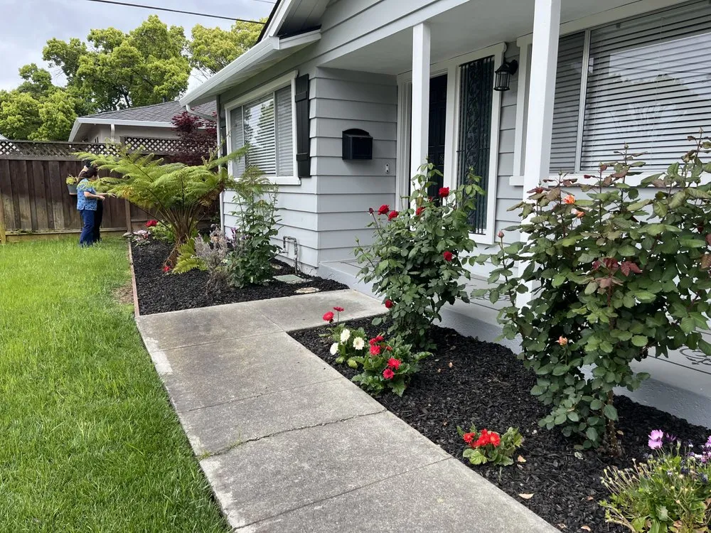 Local landscaping services in San Jose, CA by All Things Maintenance And Construction