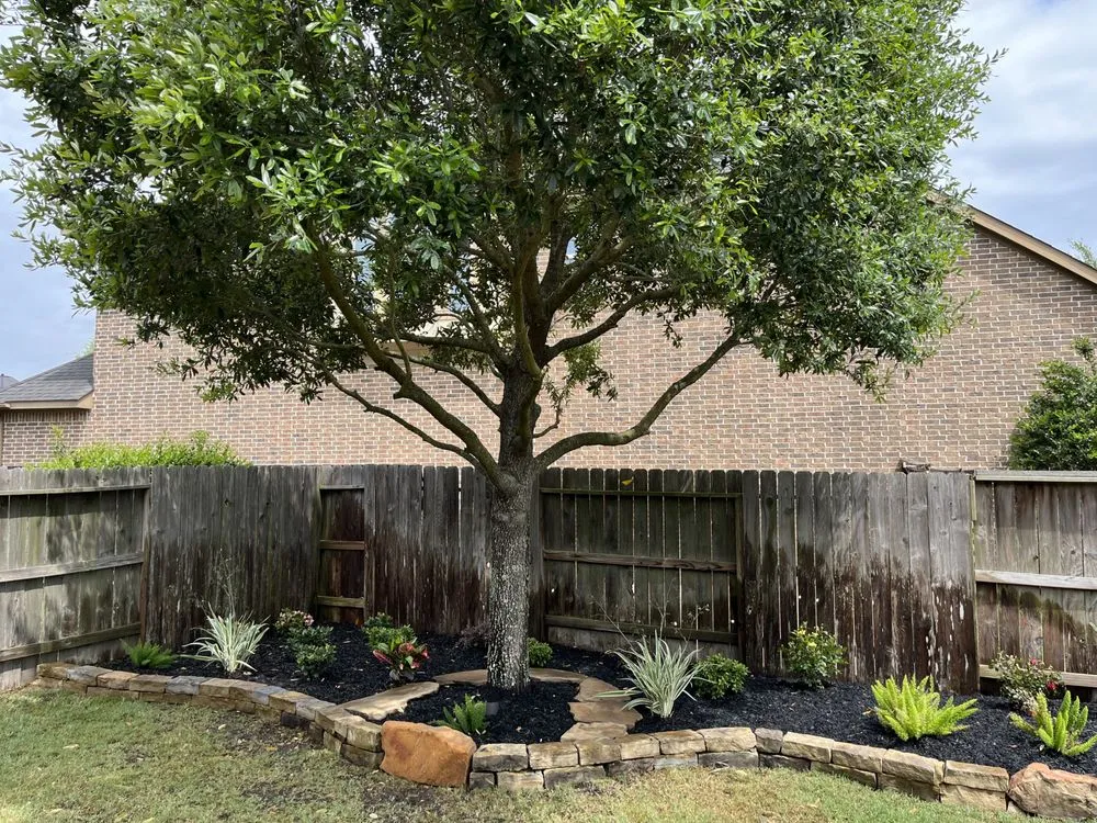 Top-rated yard cleanup service for outdoor upgrades in Katy, TX by All Things Outdoors