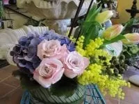 Professional residential landscaping for outdoor upgrades across Katy, TX - All Things Outdoors