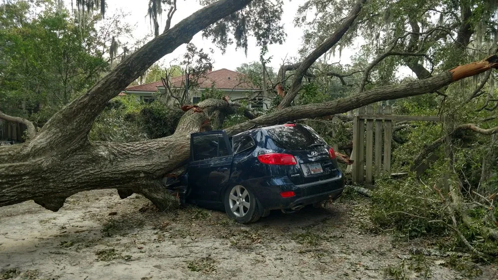 Custom landscape installation experts serving Wimauma, FL - All to the Top