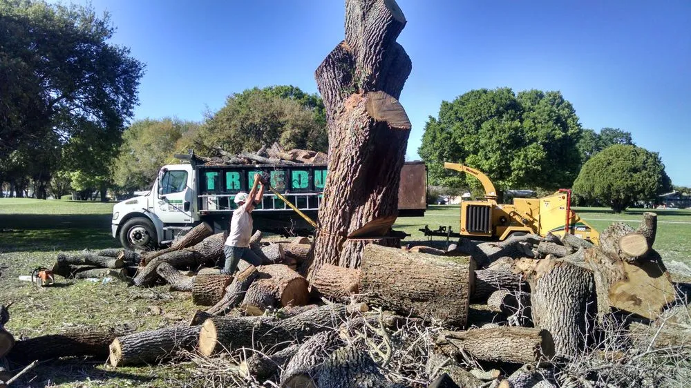 Trusted lawn care service for homes across Wimauma, FL - All to the Top