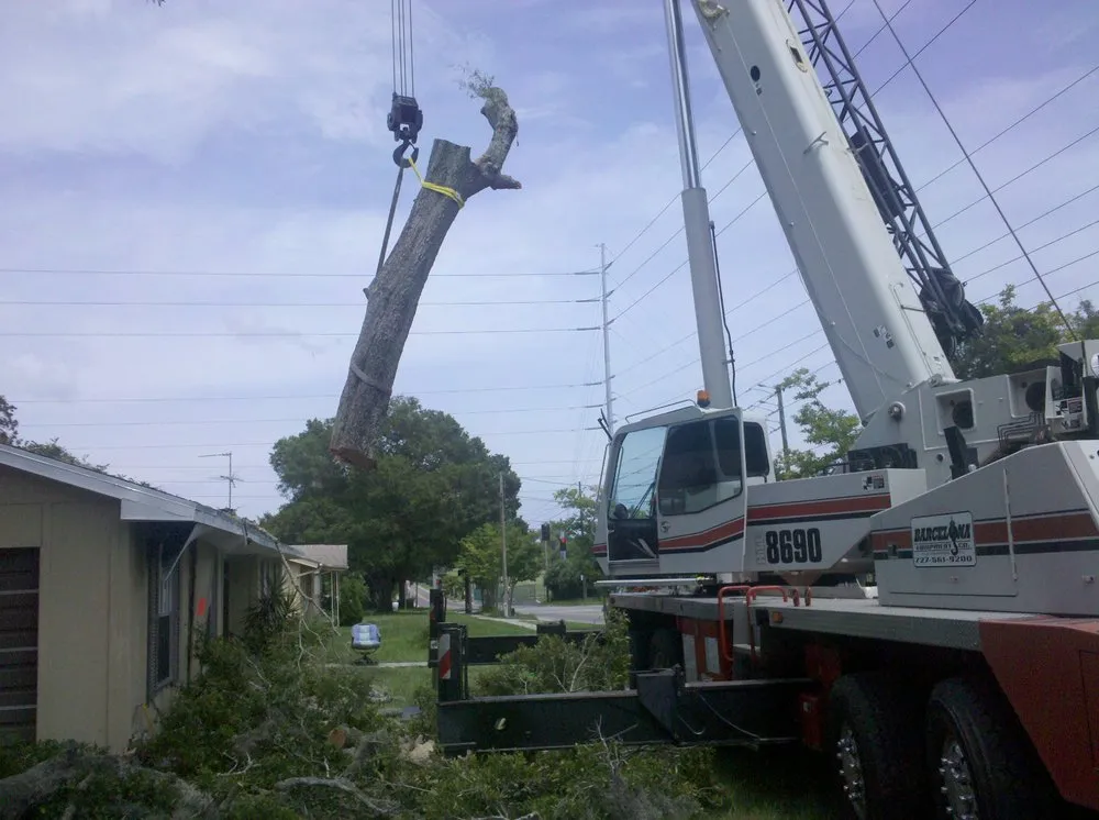 Trusted garden landscaping for year-round maintenance across Wimauma, FL - All to the Top
