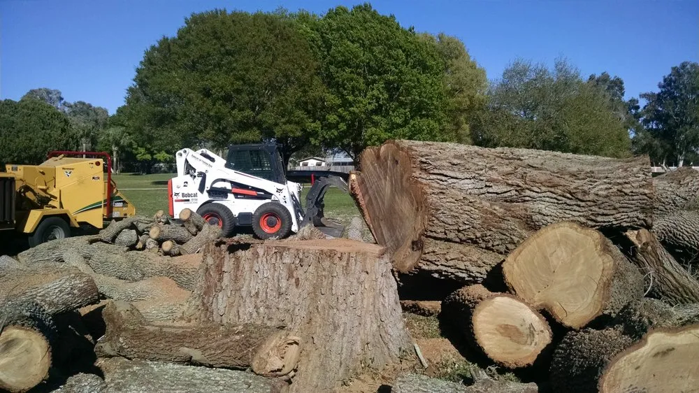 Affordable residential landscaping experts serving Wimauma, FL - All to the Top