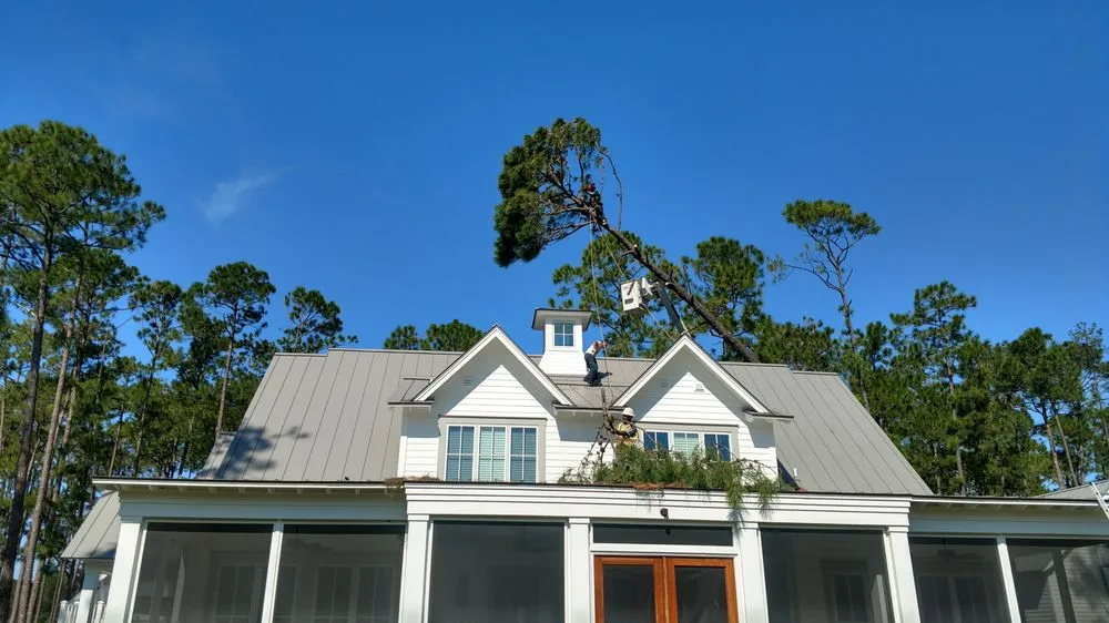 Custom lawn care service for beautiful yards across Wimauma, FL - All to the Top