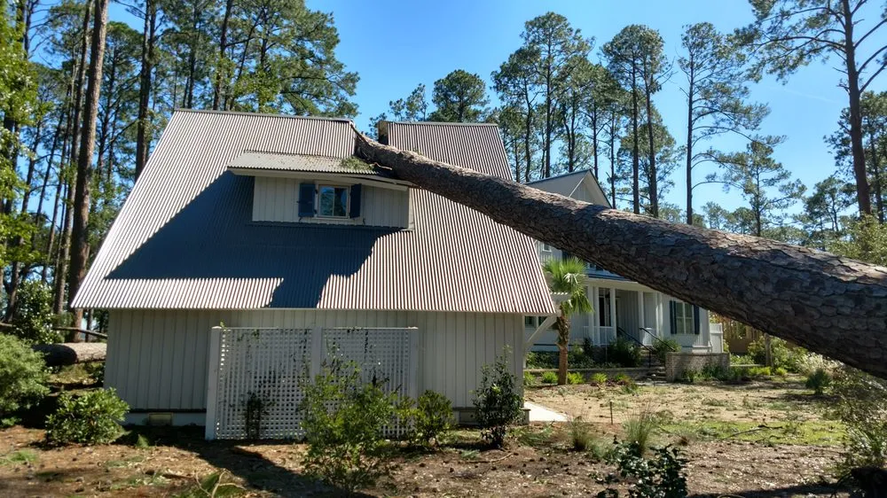 Trusted lawn mowing service for homes across Wimauma, FL - All to the Top