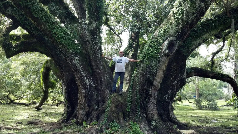 Trusted yard cleanup service in Wimauma, FL by All to the Top