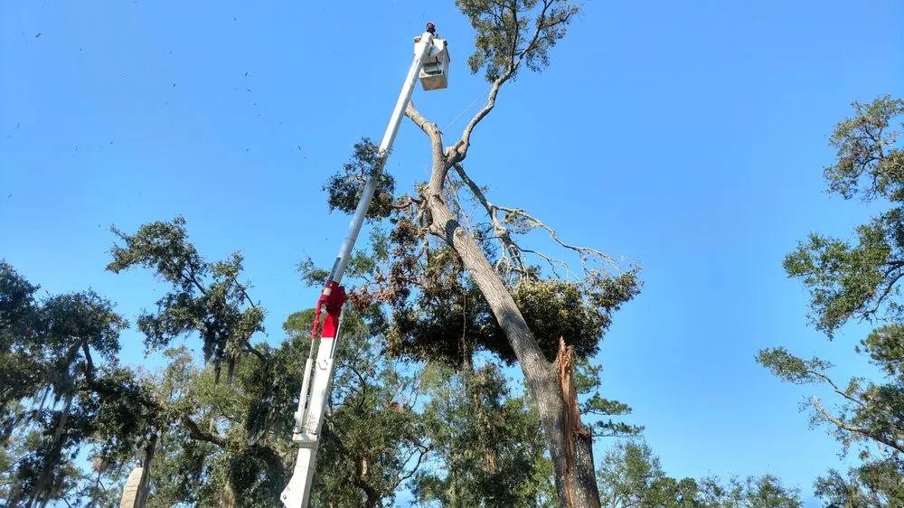 Custom landscape installation for residential properties in Wimauma, FL by All to the Top