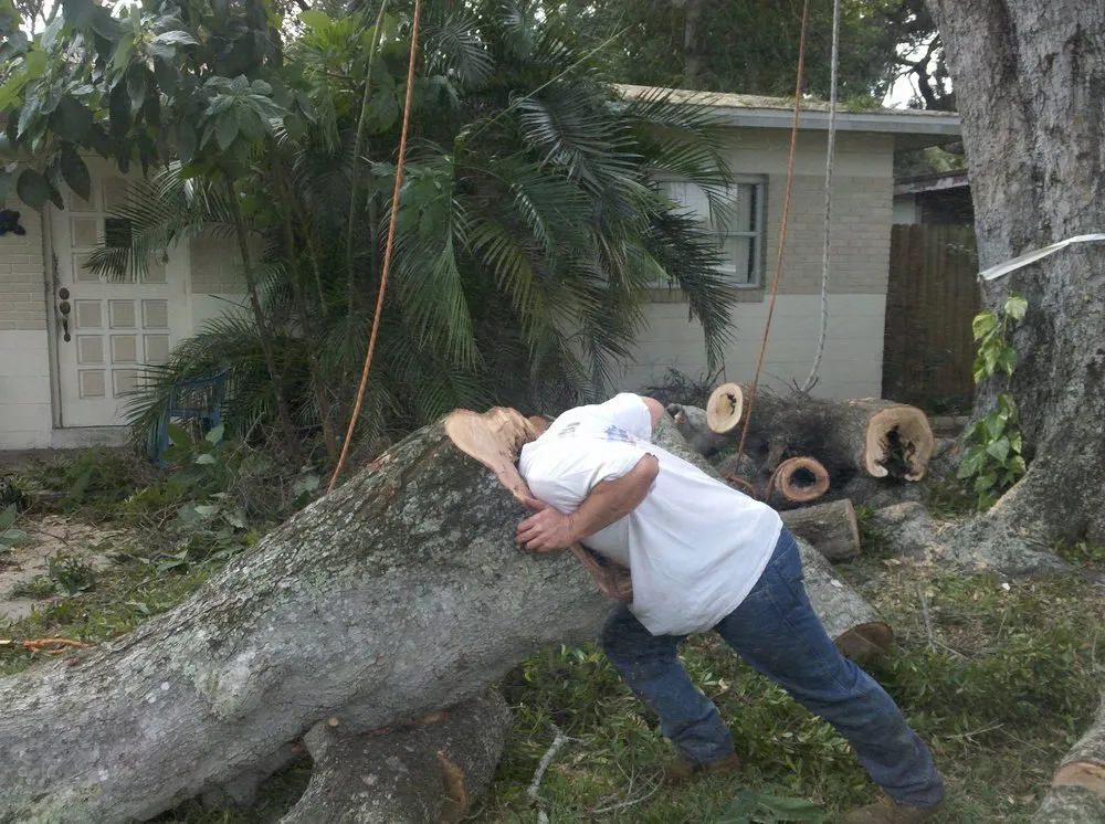 Expert landscape installation for beautiful yards in Wimauma, FL by All to the Top