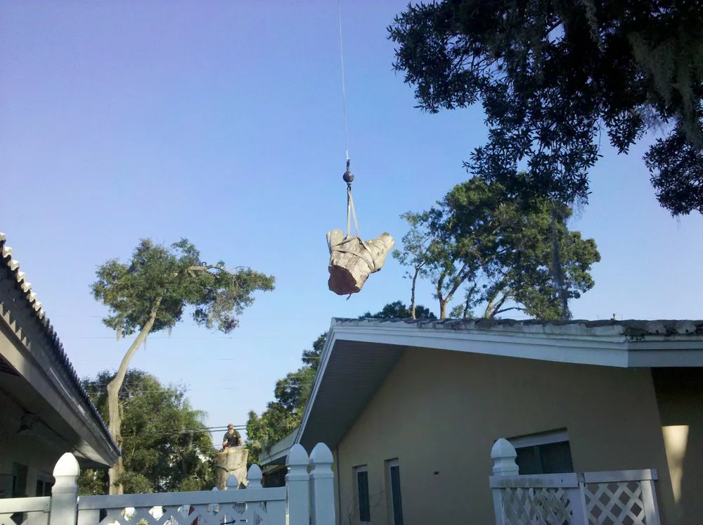 Professional lawn care service for year-round maintenance in Wimauma, FL by All to the Top