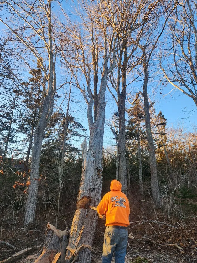 Custom landscape design with custom design in Winter Harbor, ME by All Trades in One