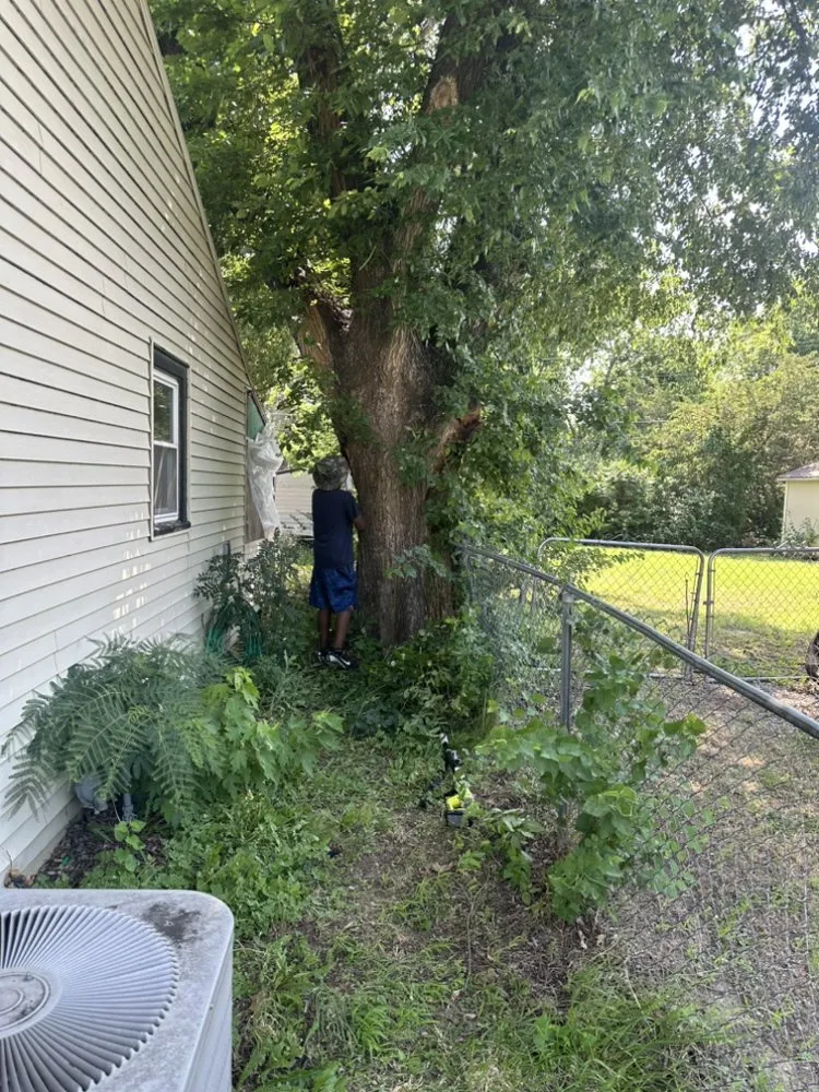 Affordable landscape installation for residential properties in Derby, KS by All Trades Maintenance