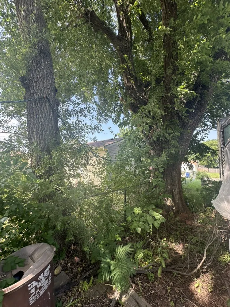 Affordable residential landscaping for homes across Derby, KS - All Trades Maintenance