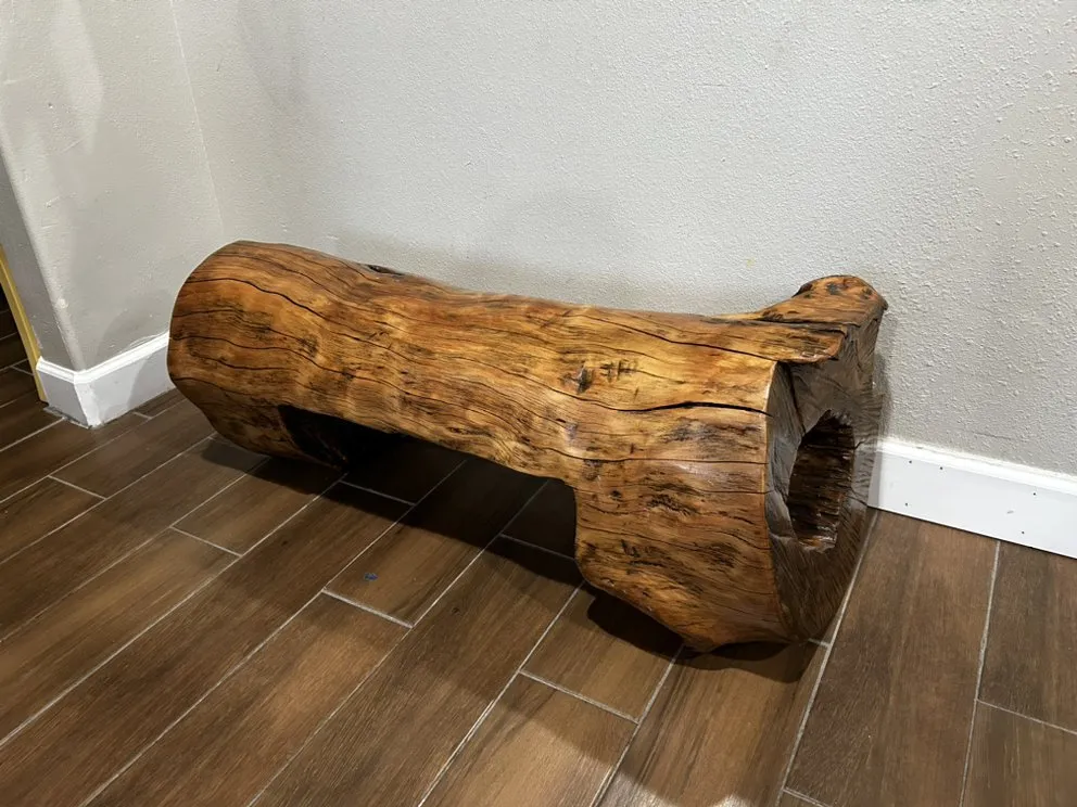 Top-rated yard cleanup service experts serving New Orleans, LA - All Trades Nola