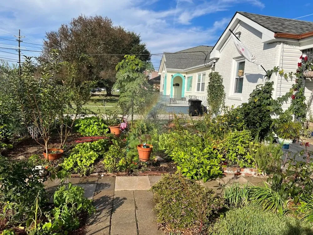 Custom residential landscaping for year-round maintenance in New Orleans, LA by All Trades Nola