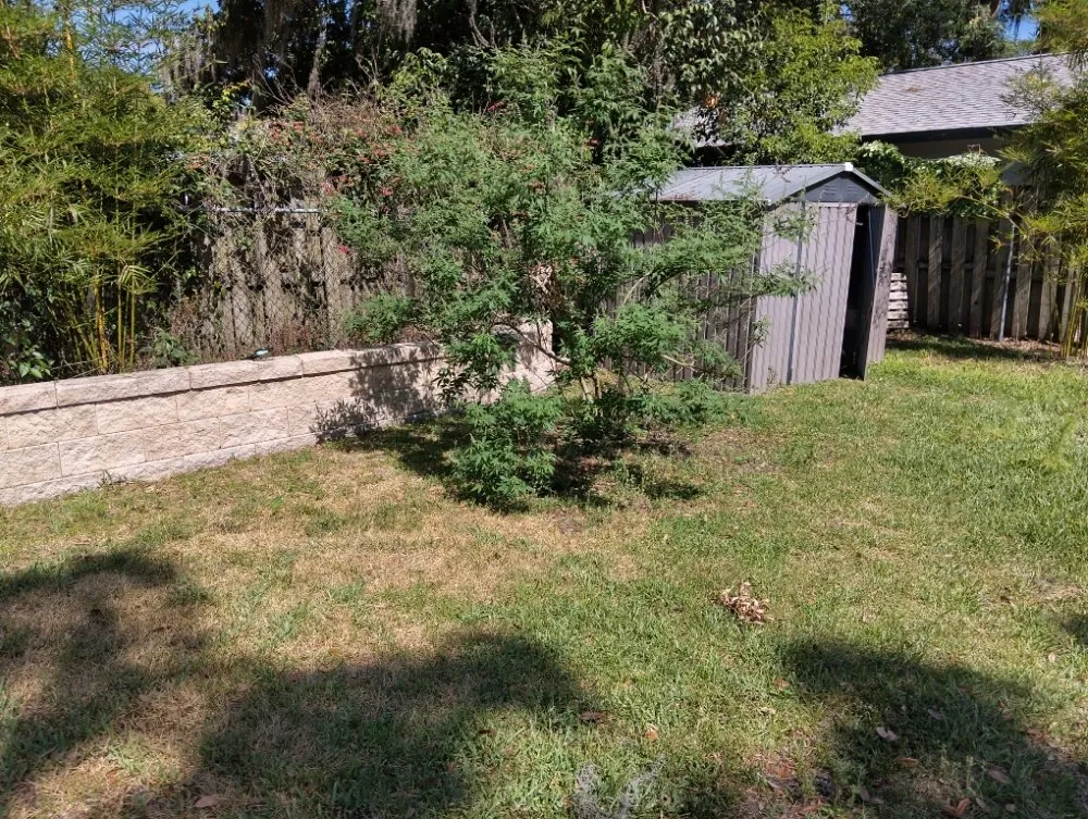 Top-rated outdoor landscaping for beautiful yards in Lutz, FL by All Trades Property Maintenance