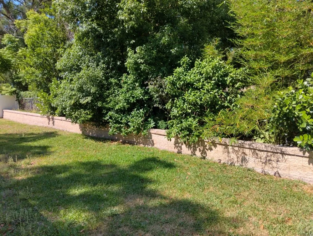 Trusted yard cleanup service for beautiful yards in Lutz, FL by All Trades Property Maintenance