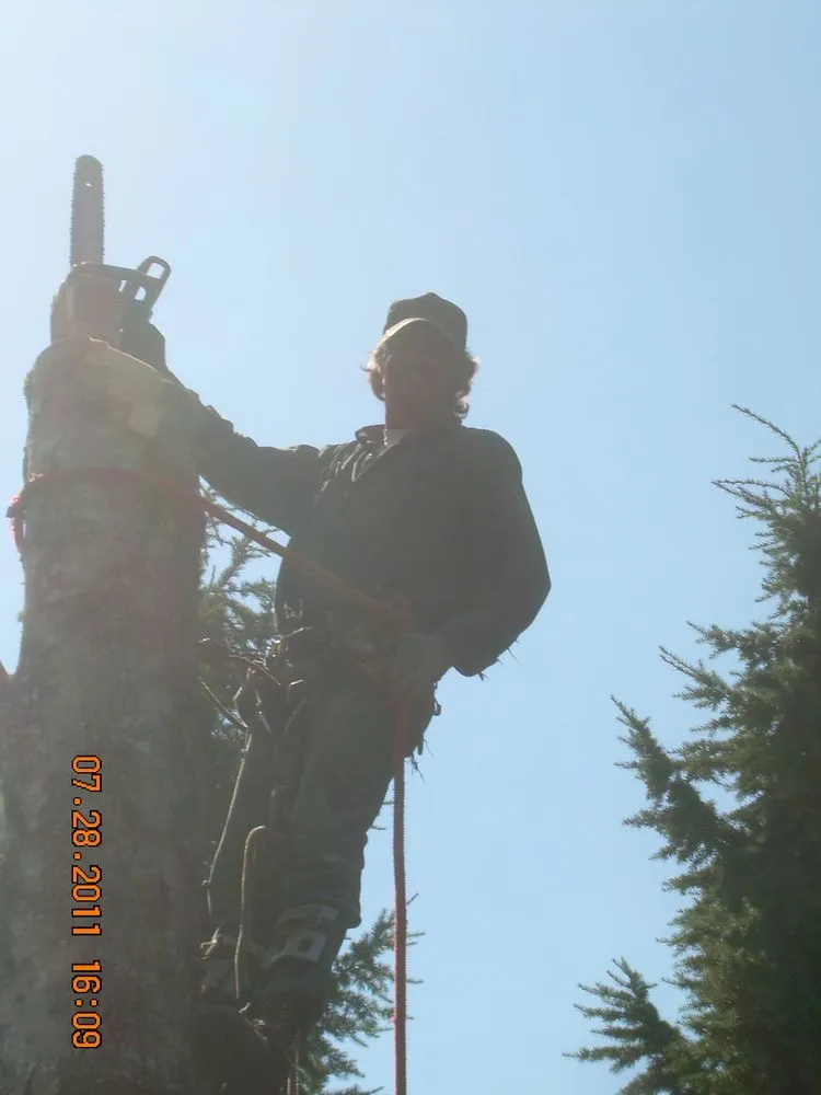 Local landscaping services in Olympia, WA by All Tree & Landscape