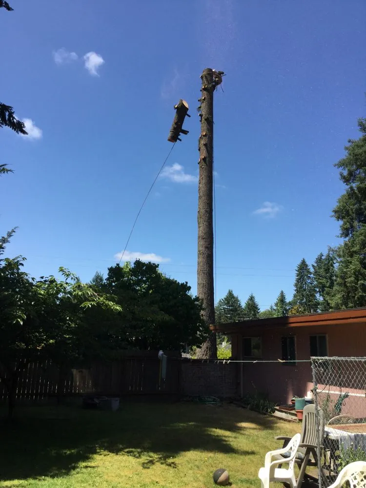 Trusted residential landscaping near you in Olympia, WA by All Tree & Landscape