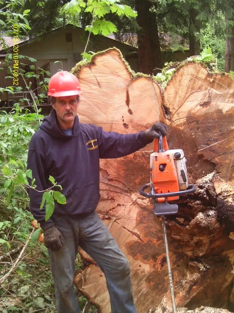 Top-rated lawn mowing service in Olympia, WA by All Tree & Landscape