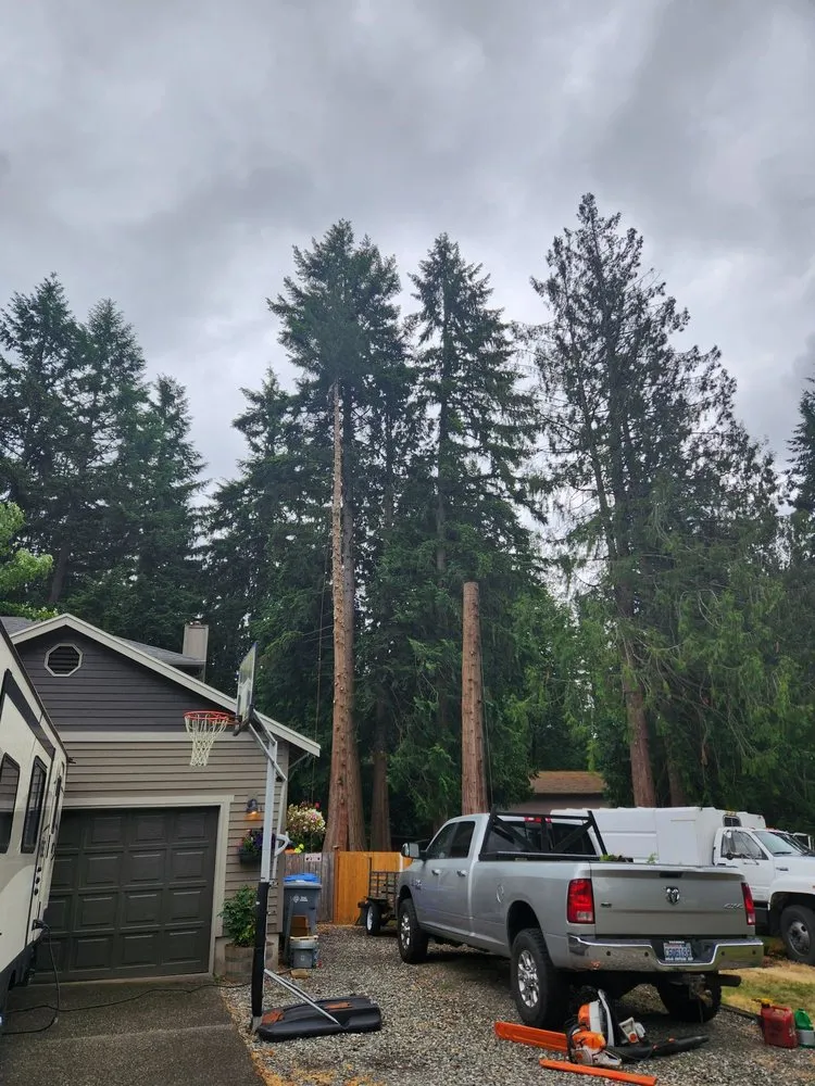 Custom outdoor landscaping for residential properties in Orting, WA by All Tree Removal