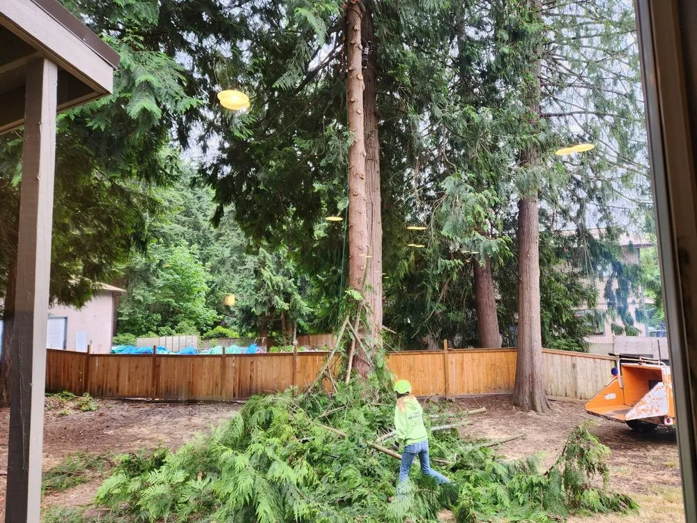 Professional landscaping services in Orting, WA by All Tree Removal