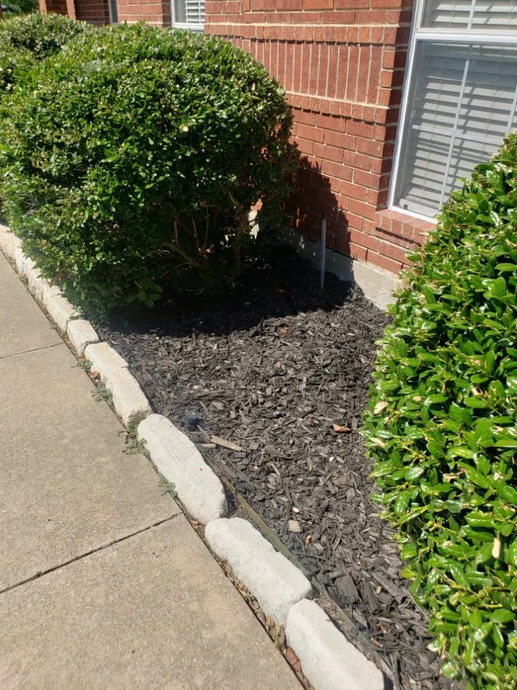 Affordable yard maintenance in Forney, TX by All Trees and All Drains